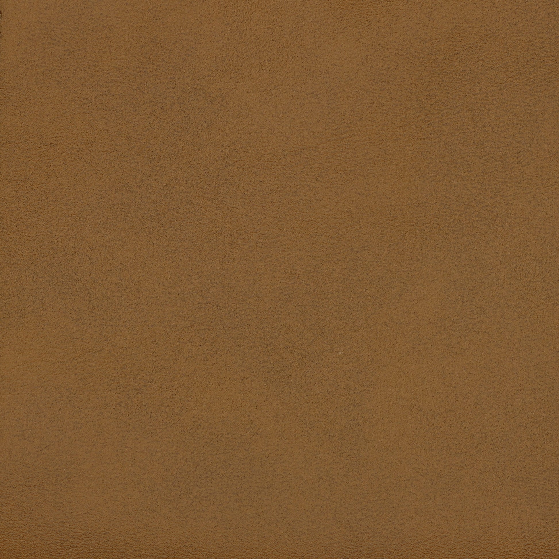 Auren Upholstered Vegan Leather sofá