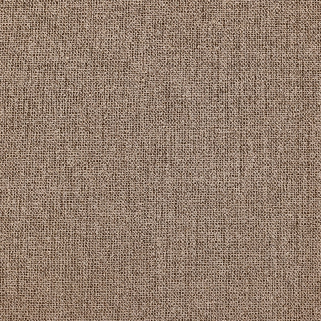 Aurelia Taupe Seccional Derecho