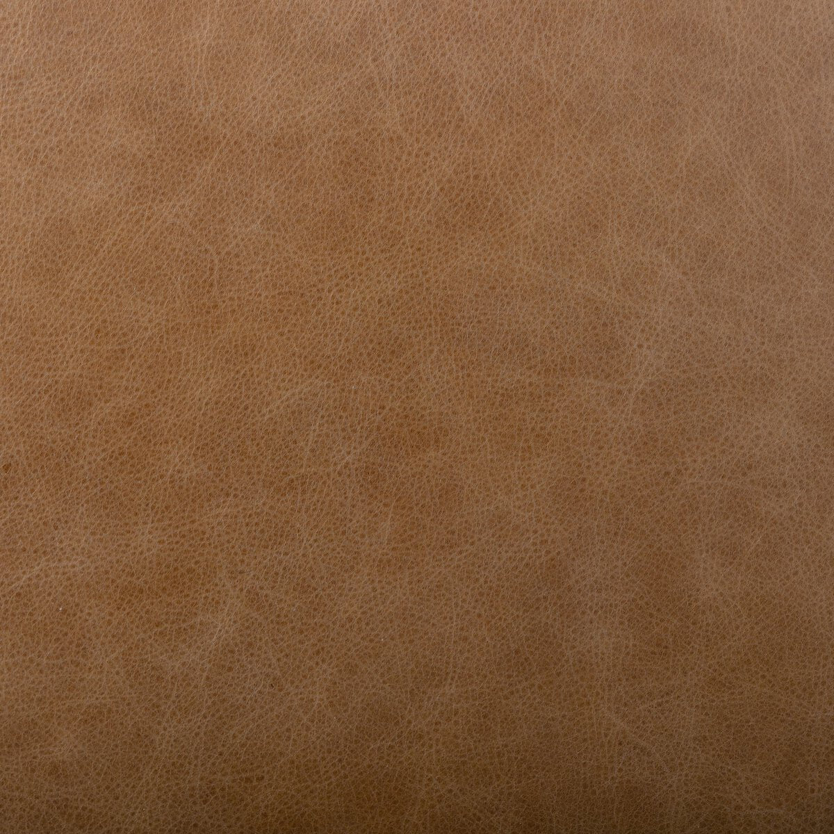 Abilene Silla de Comedor