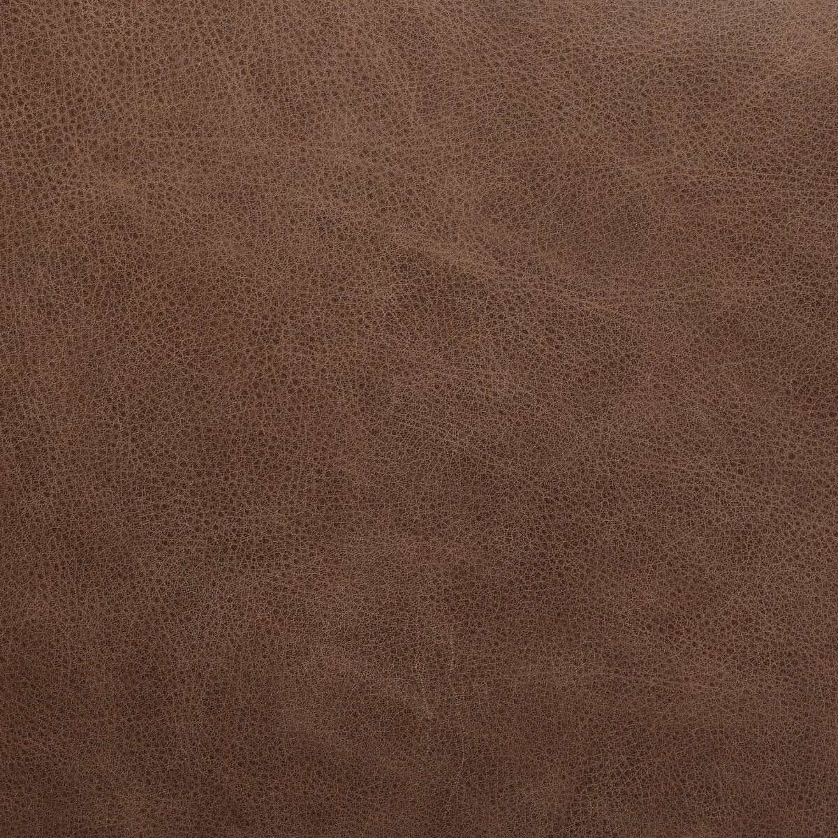 Ferris Cuero Top Café Silla de Comedor