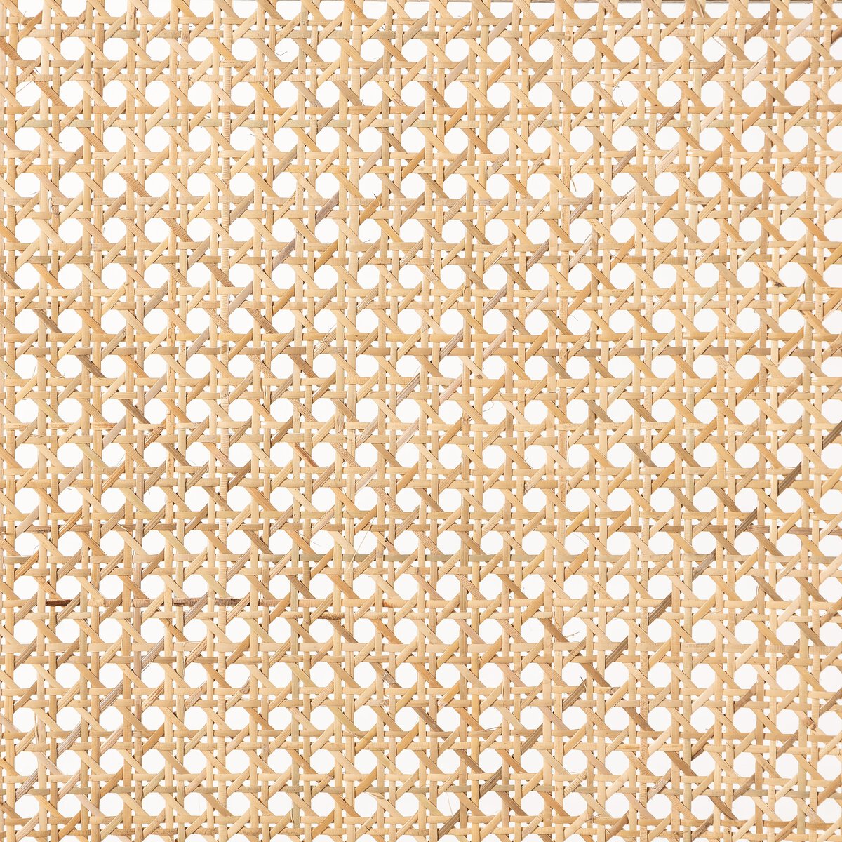 Sage Silla de Comedor