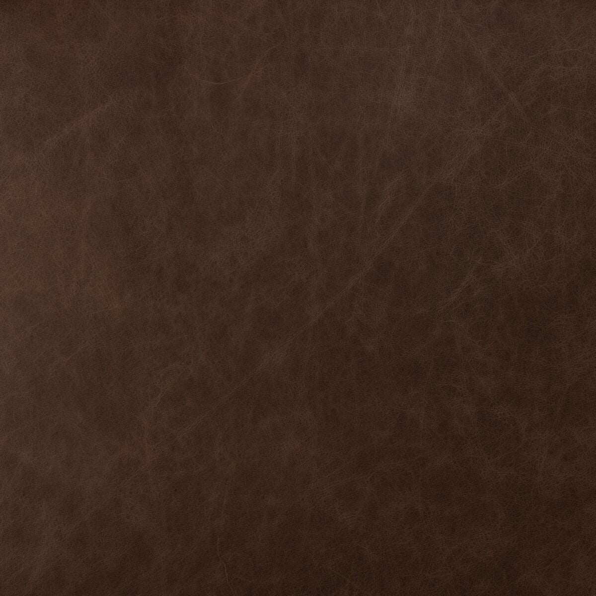 Amare Silla de Comedor