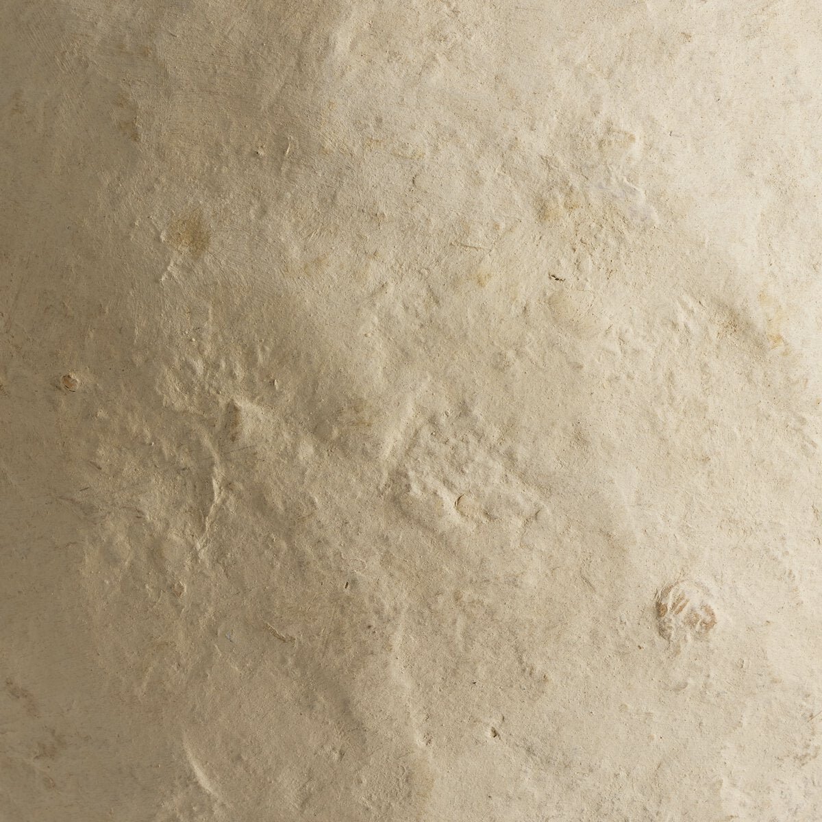 Olivos Jarrón