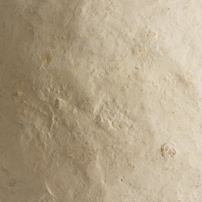 Olivos Jarrón