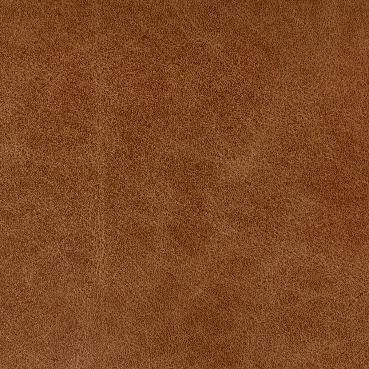 Morena Silla de Comedor