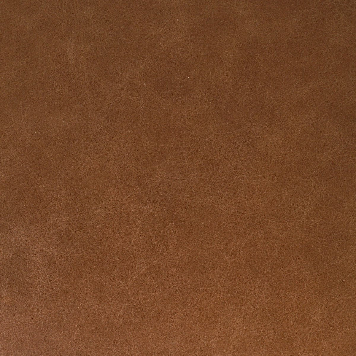 Tamari Bar Stool